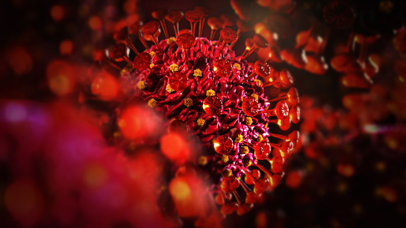 Virus yang Direkayasa Mungkin Mampu Memblokir Infeksi Coronavirus